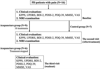 Acupuncture Effect and Mechanism for Treating Pain in Patients With Parkinson's Disease